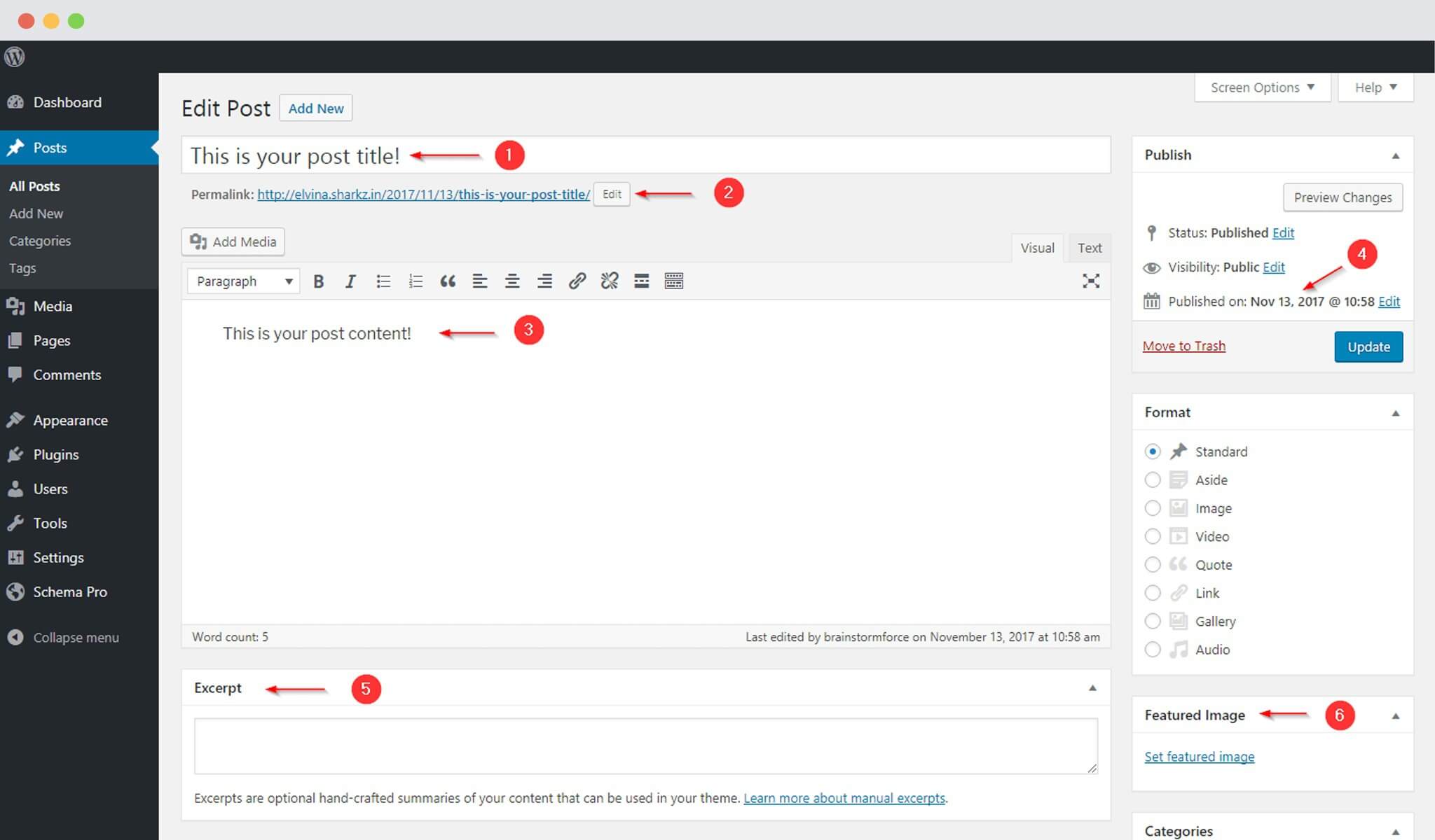 Mapping Your Schema Fields - Schema Pro