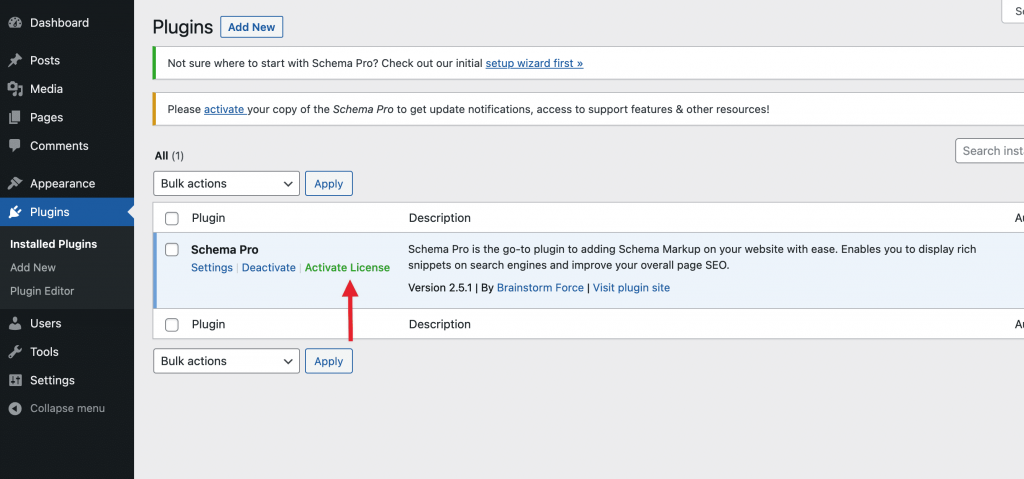 activate schema pro license